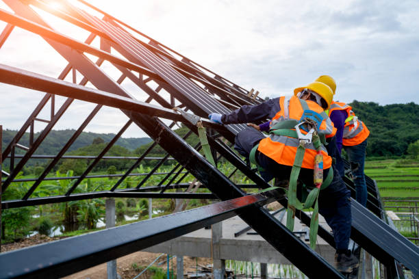 Roof Gutter Cleaning in Cottage Grove, MN